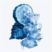 Artistic macro shot of a frozen blue bergamot slice and crystalline patchouli leaves, representing the refreshing and gourmand notes of Mugler Angel.