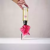 Refilling a pink Angel Nova star perfume bottle with a yellow refill bottle held upside down