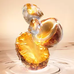 New Starlicious Pineapple Musk still life featuring the slender glass bottle surrounded by its key ingredients: a glowing pineapple slice, a cracked coconut shell, and crystalline musk, all set against a warm, luminous rippling water background.