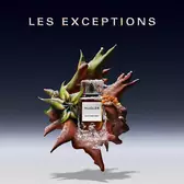 cuir impertinent eau de parfum