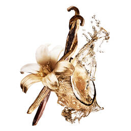 Madagascar bourbon vanilla pods and white jasmine flowers in a golden splash, representing the radiant and divine scent of Alien Goddess.