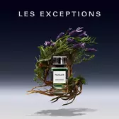 mystic aromatic eau de parfum