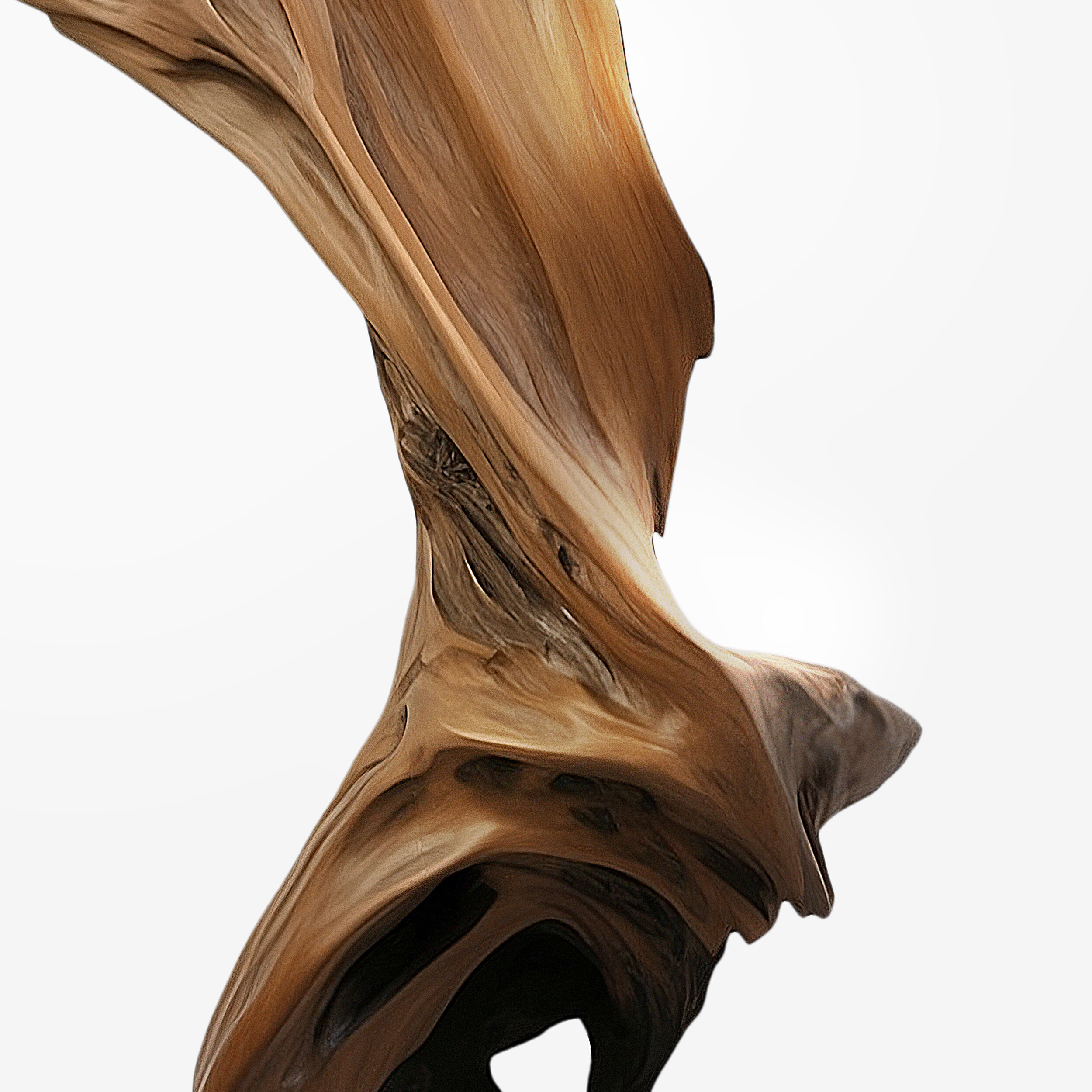 Silhoutte of a patchouli plant