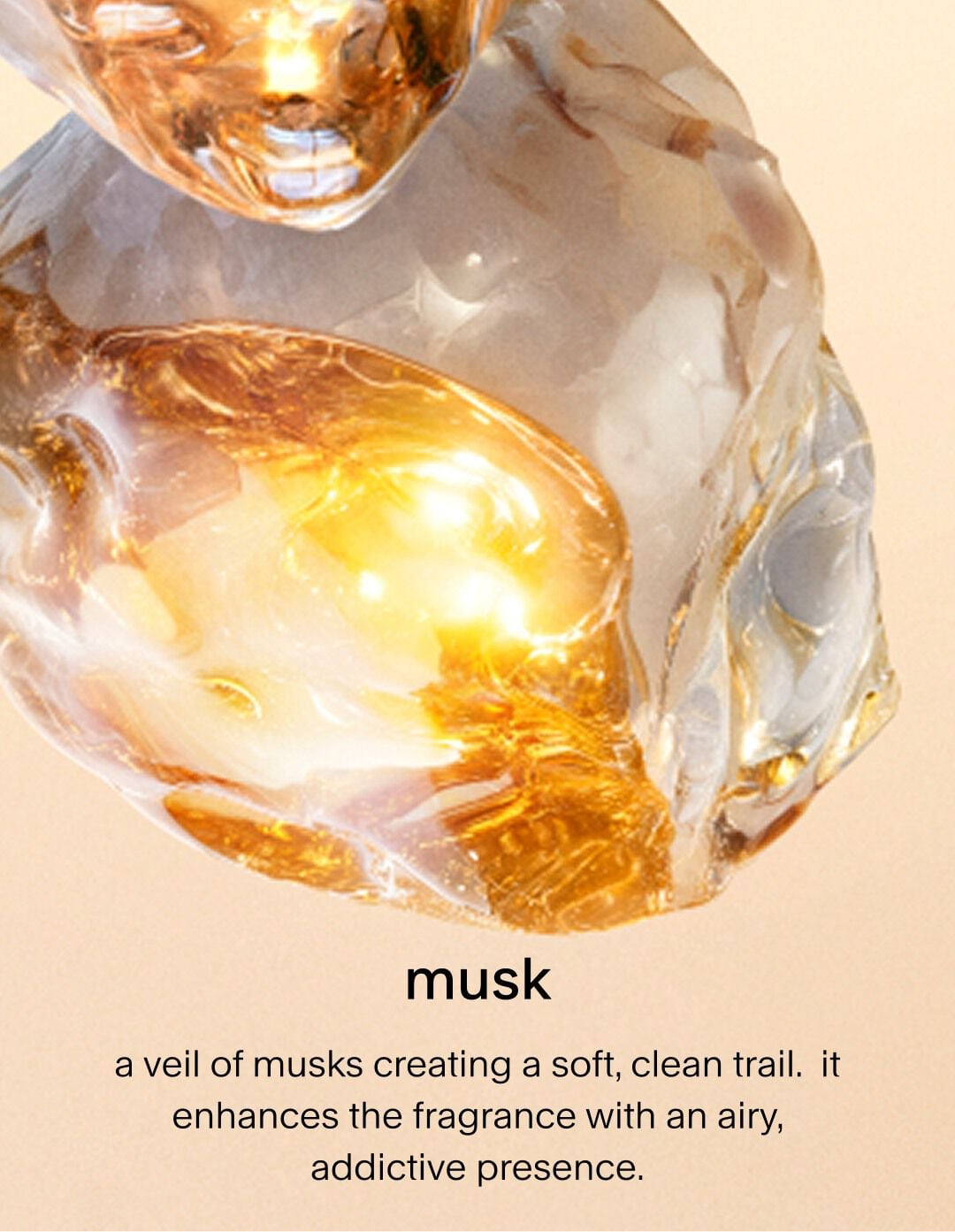 A close-up of a fresh coconut shell filled with a smooth, white coconut meat, resting in a golden, glowing liquid. The text describes it as a creamy note adding smoothness and roundness while wrapping the blend in a comforting and delicious glow.
